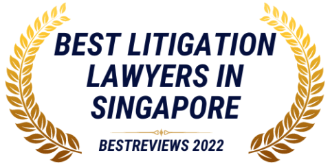 The Singapore Lawyer | TheSingaporeLawyer.com